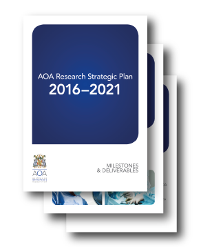 Research-Strategic-Plan-Icon