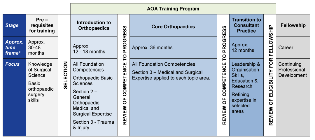 Stages-of-Training-Graph
